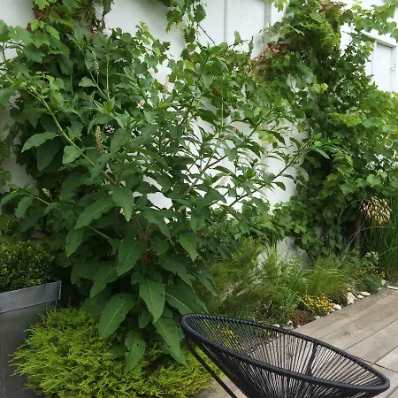 Bed and Breakfast La Blanche Girondine *