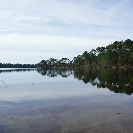 La Blanche Girondine * Hostens