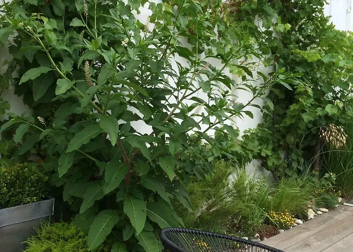 Frühstückspension La Blanche Girondine *