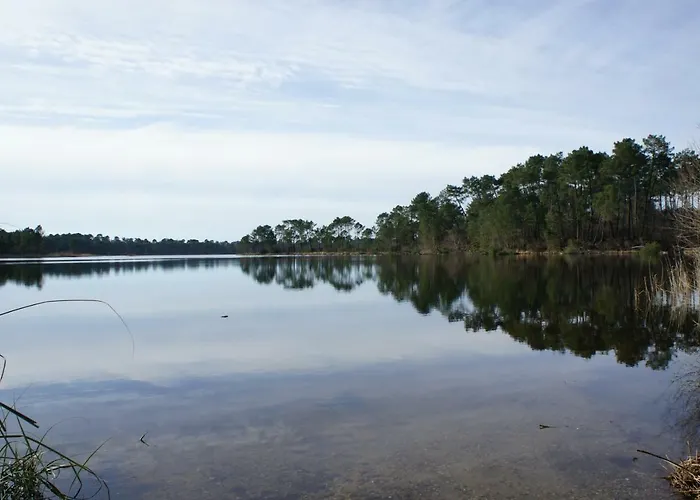 La Blanche Girondine * Hostens